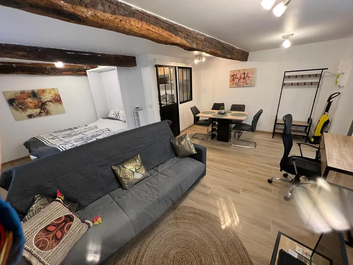 Tres Joli Loft De 40 M2 Idealement Situe Сен-Годенс