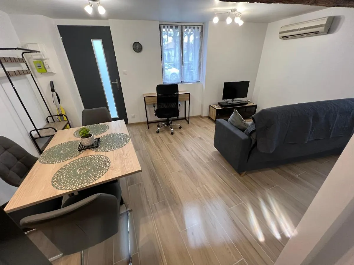 Tres Joli Loft De 40 M2 Idealement Situe Сен-Годенс
